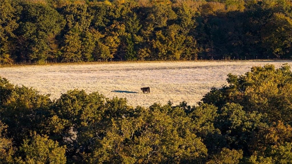 232 acres in Cooke County - photo 28