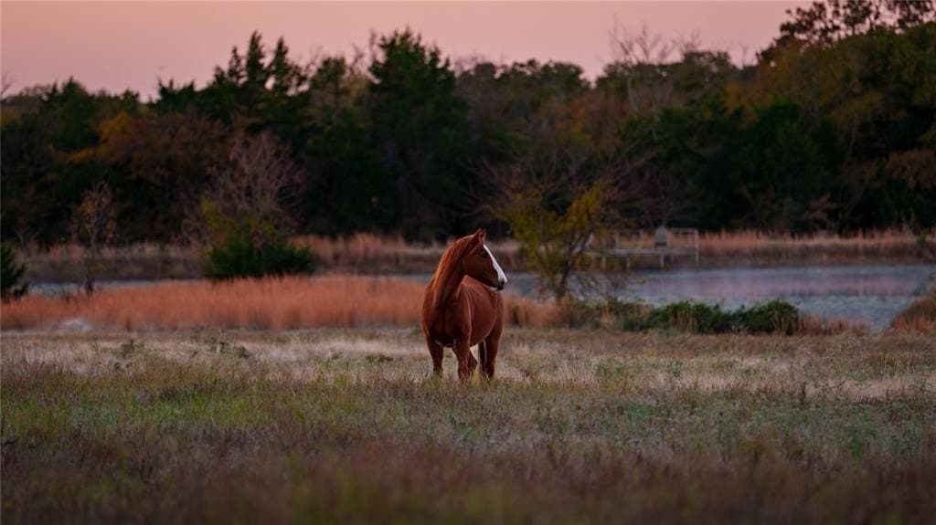 232 acres in Cooke County - photo 34