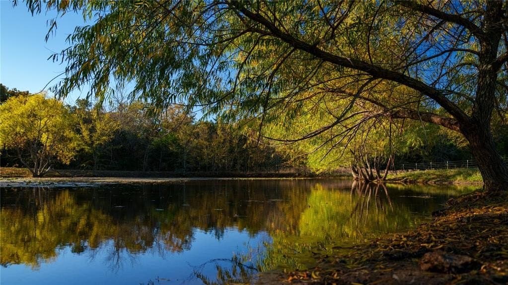 232 acres in Cooke County - photo 29