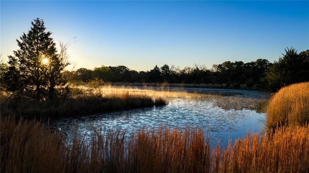 232 acres in Cooke County - photo 3