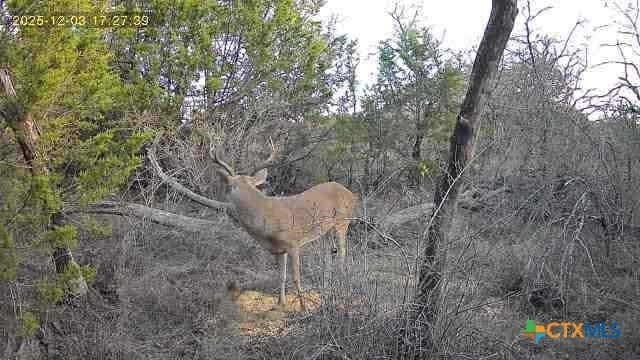 25 acres in Hamilton County - photo 6