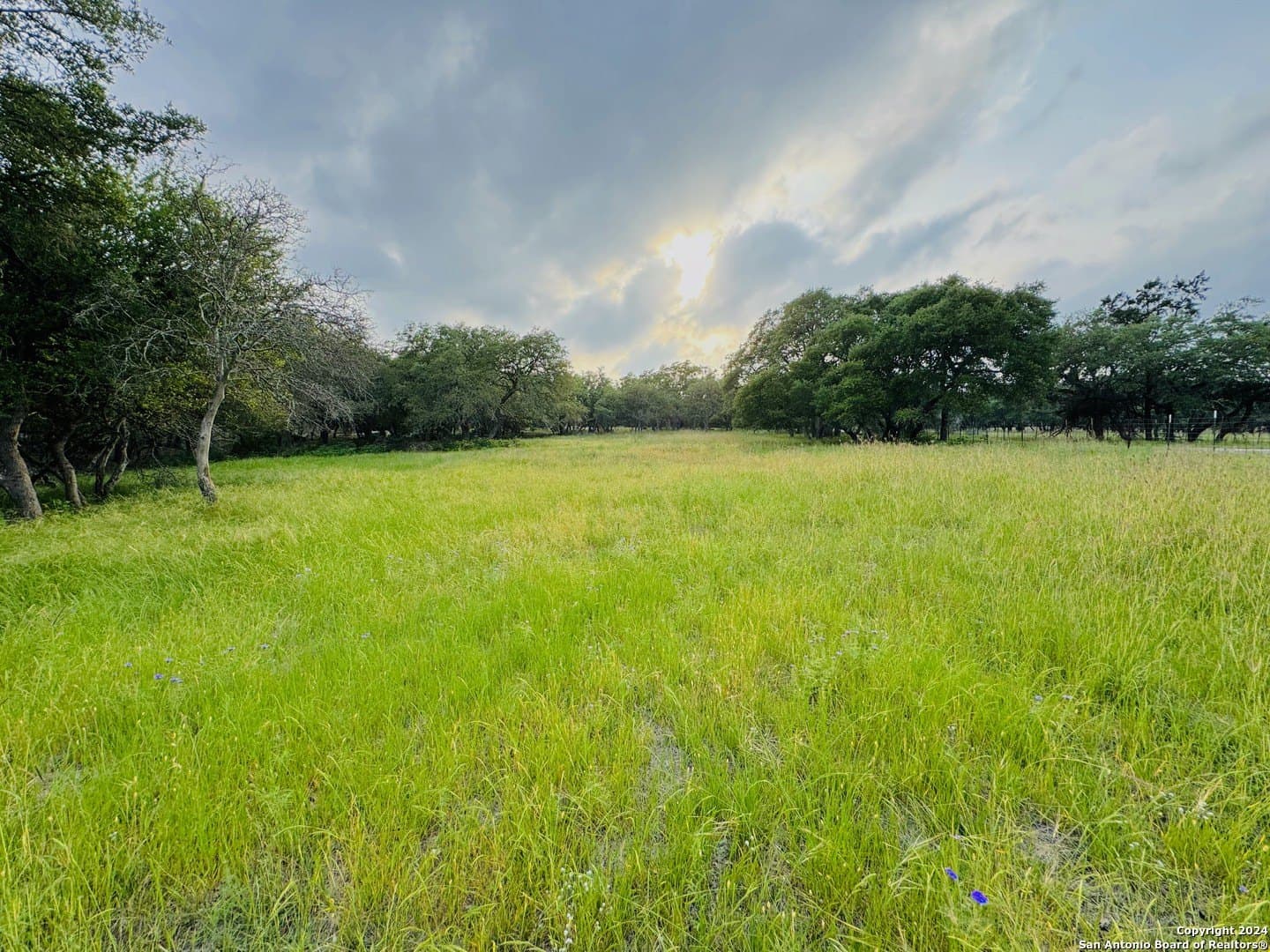 6.01 acres in Kendall County - photo 7