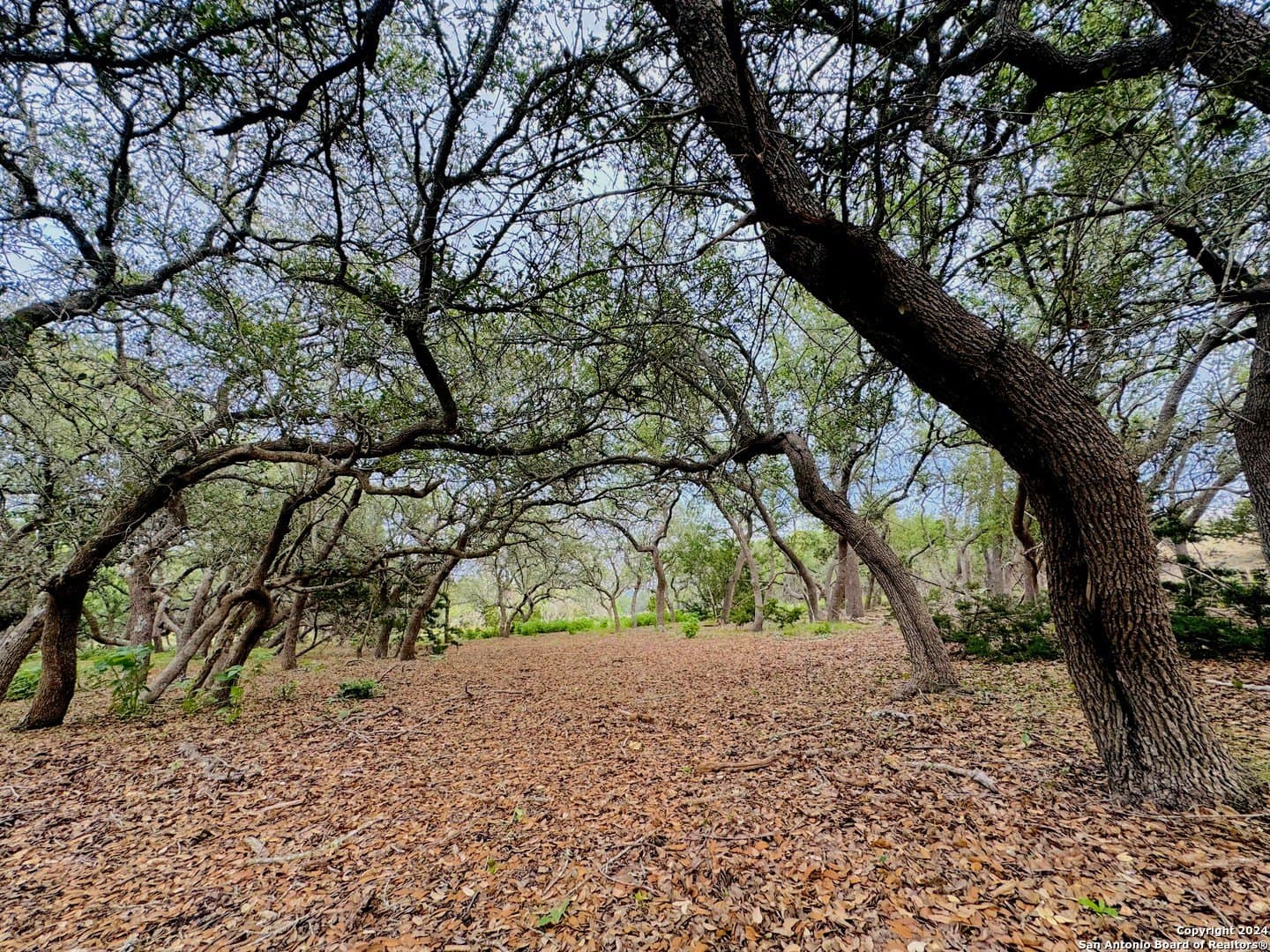 6.01 acres in Kendall County - photo 13