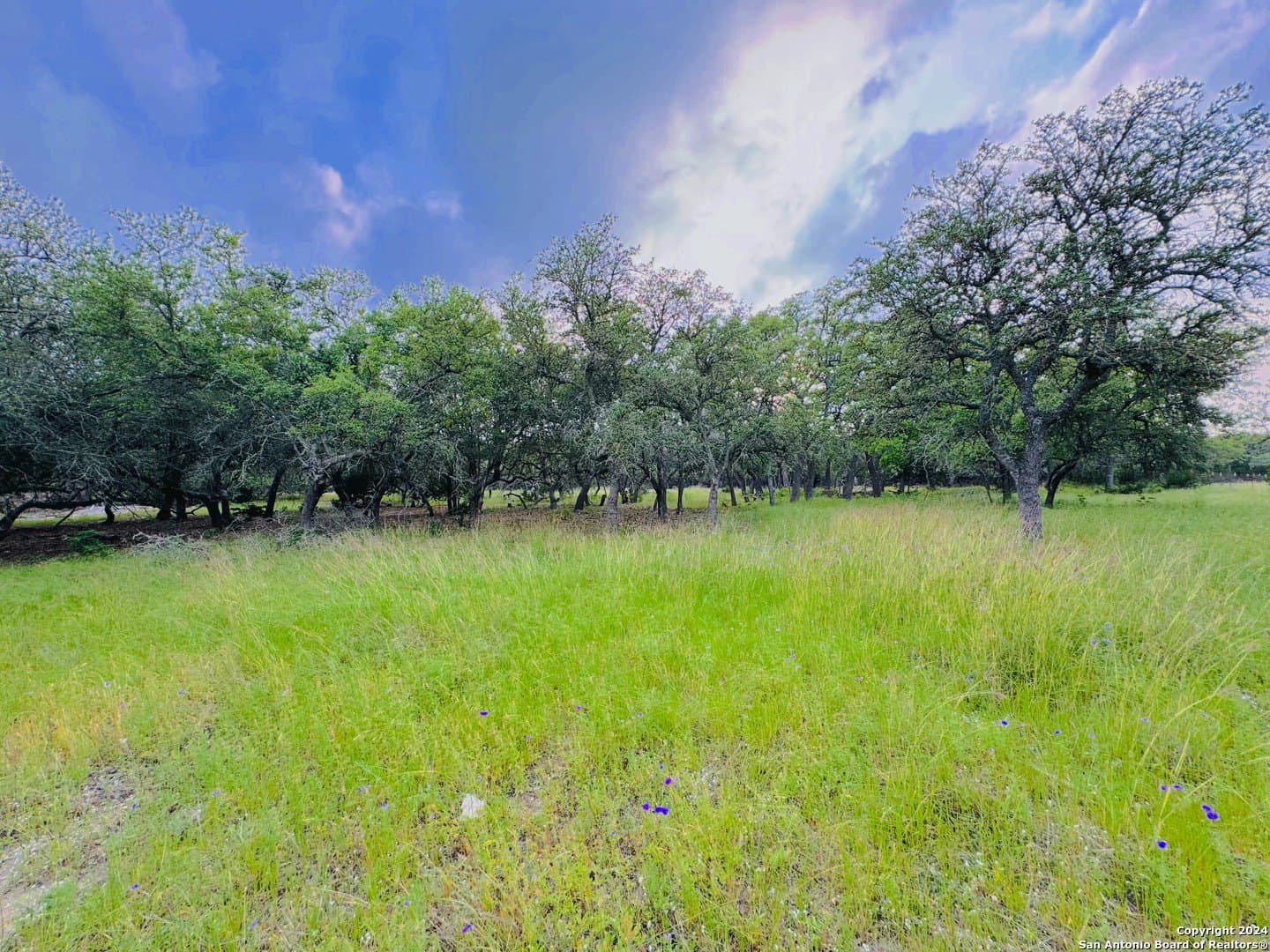 6.01 acres in Kendall County - photo 10