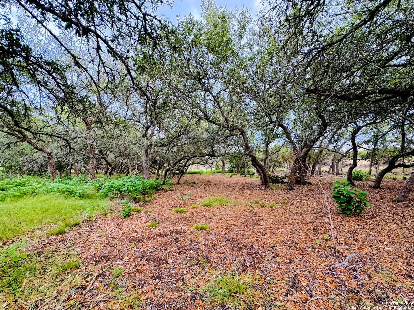 6.01 acres in Kendall County - photo 12