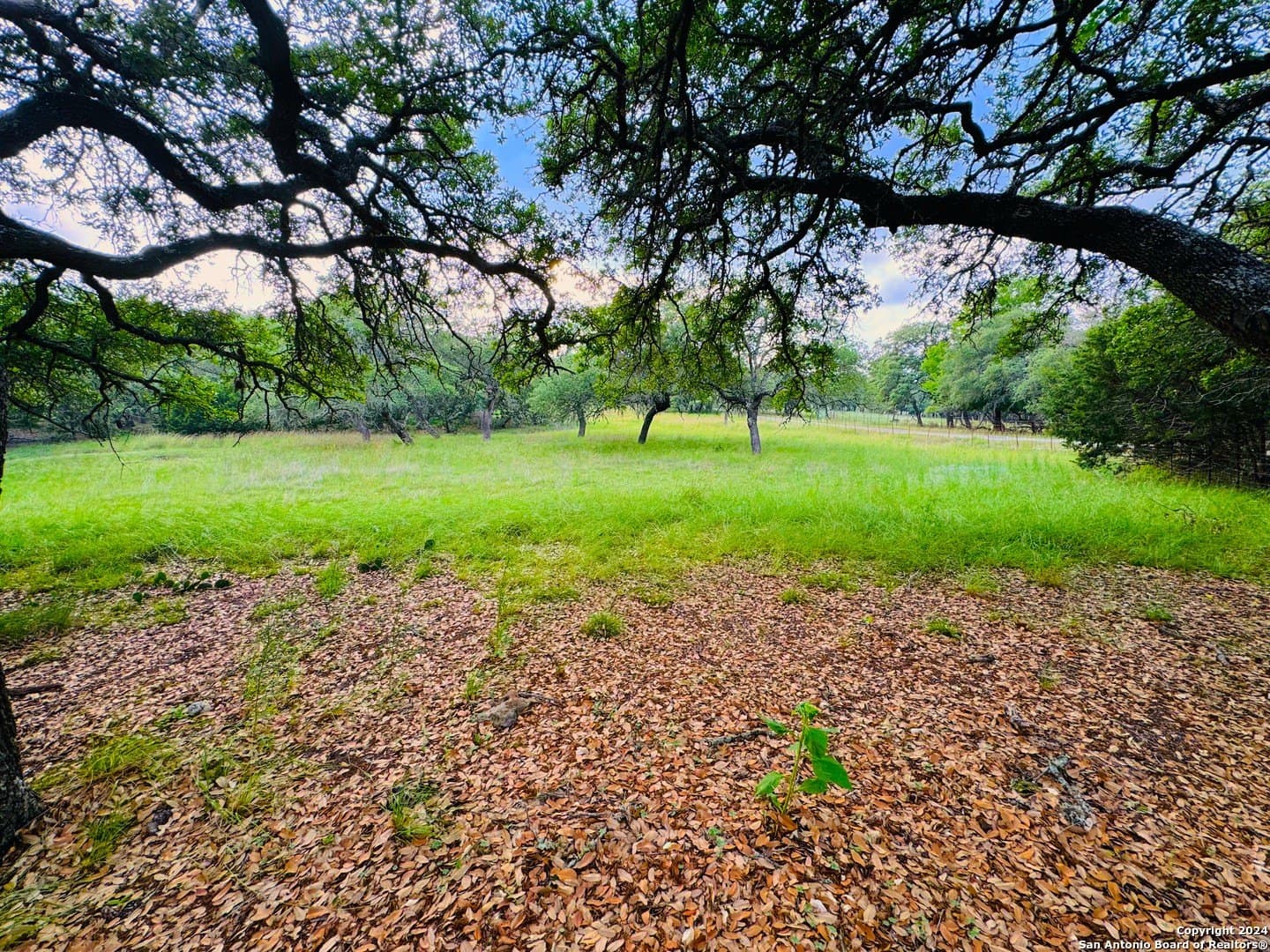 6.01 acres in Kendall County - photo 4