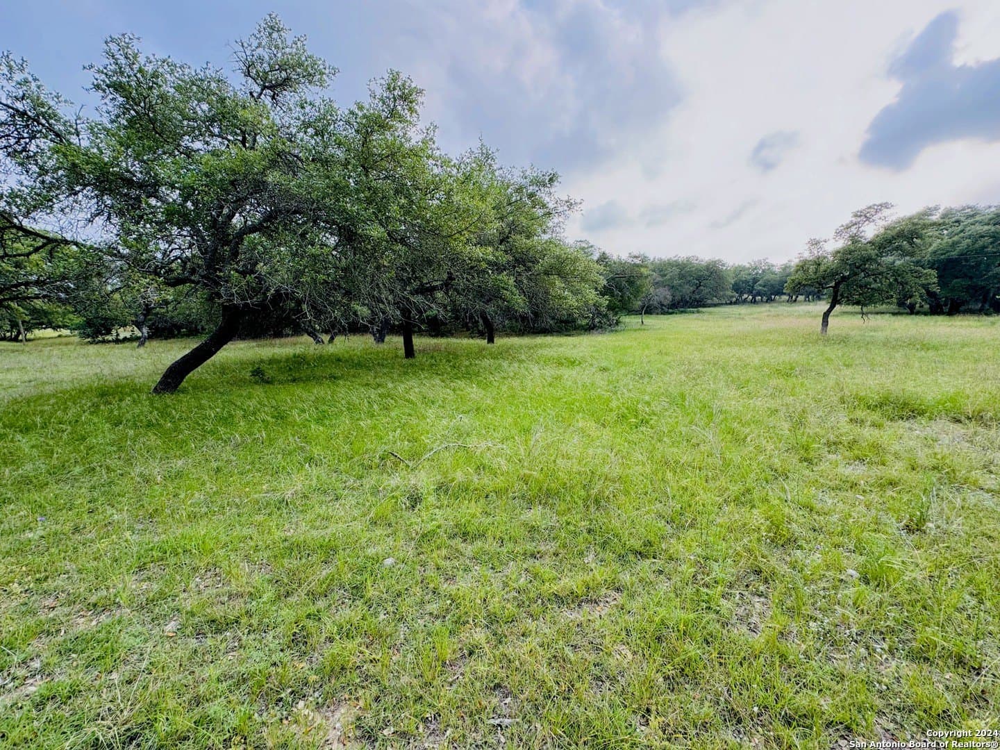 6.01 acres in Kendall County - photo 6