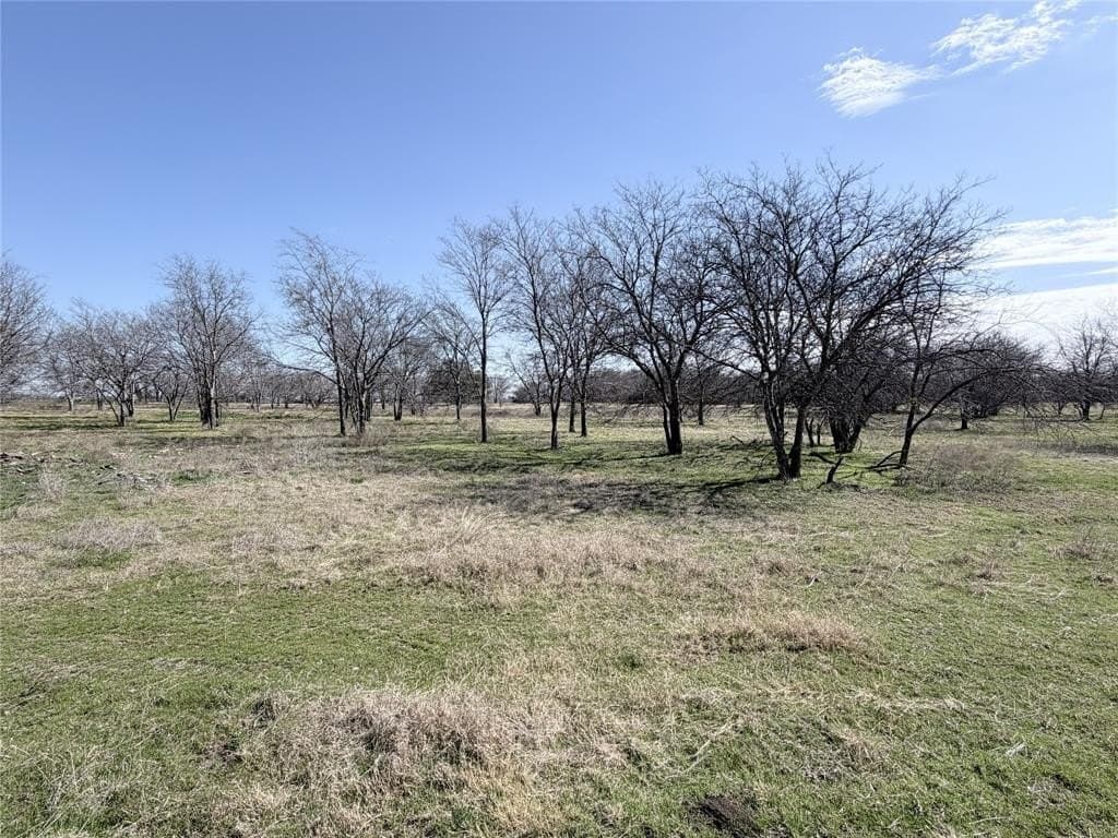 3.1 acres in Hill County - photo 5