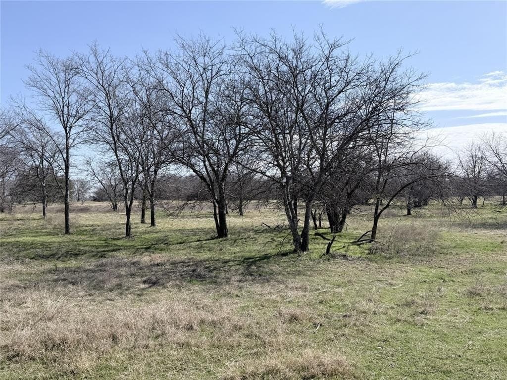 3.1 acres in Hill County - photo 6
