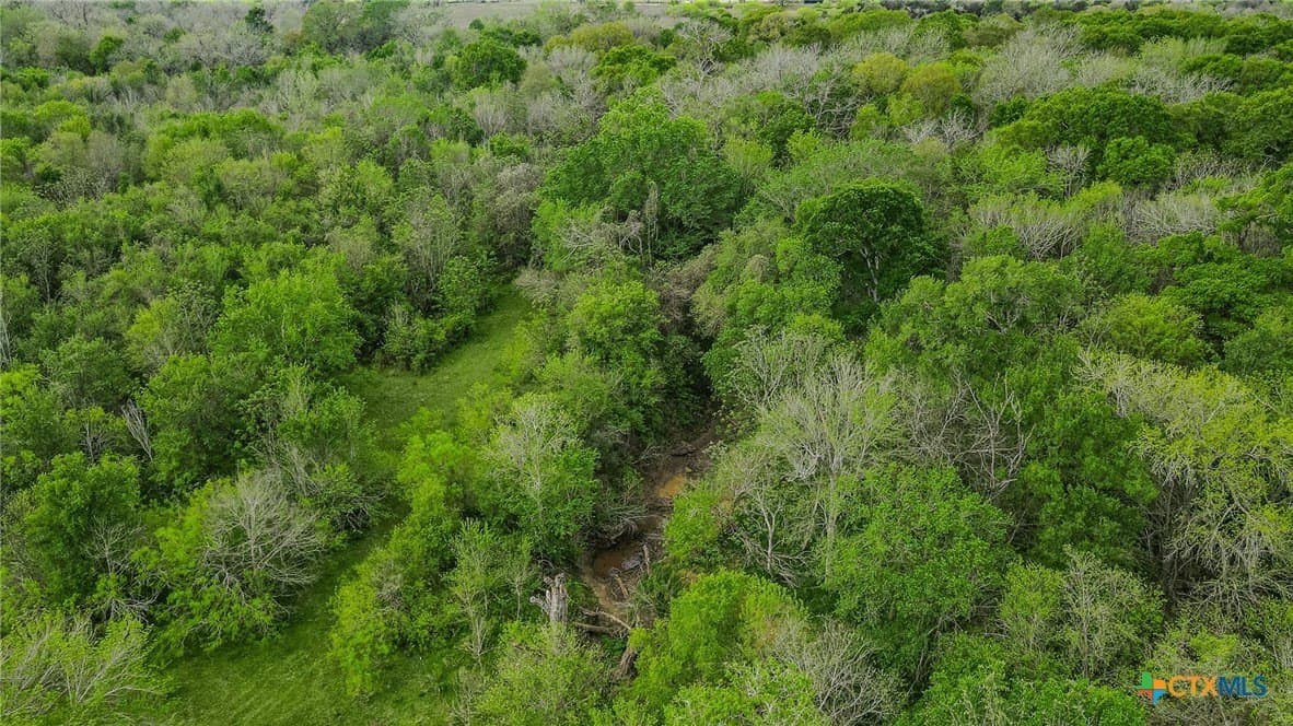 381 acres in Fayette County - photo 22