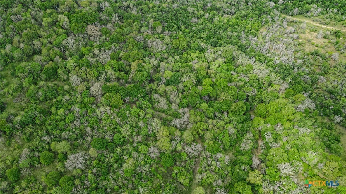381 acres in Fayette County - photo 13
