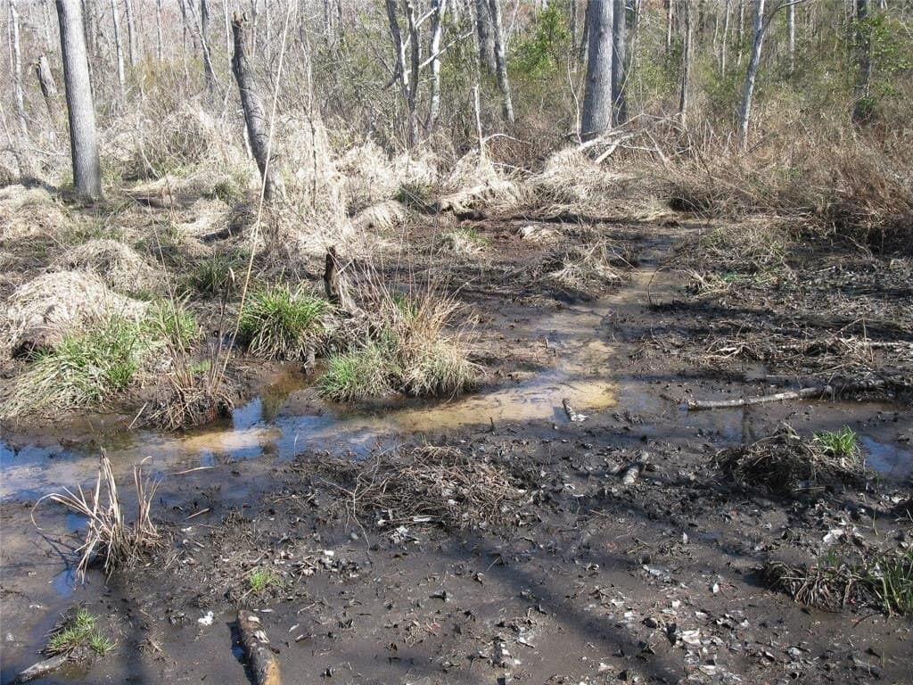 133.21 acres in Van Zandt County - photo 17