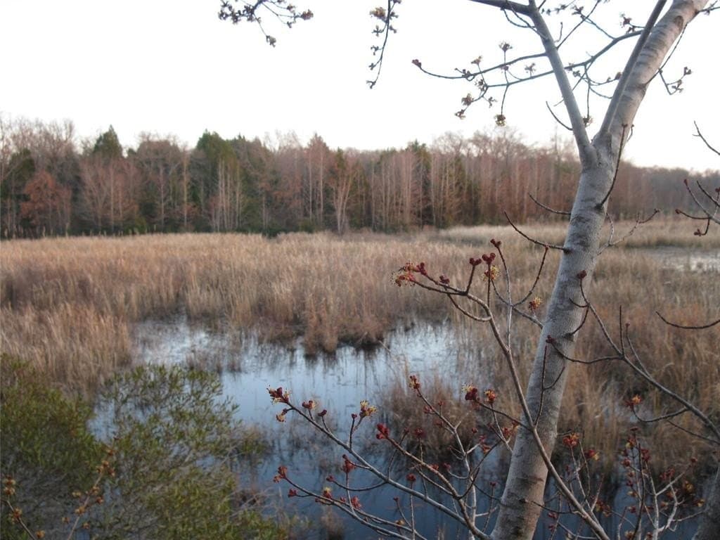 Tbd 133 Ac +- VZ County Road 4701