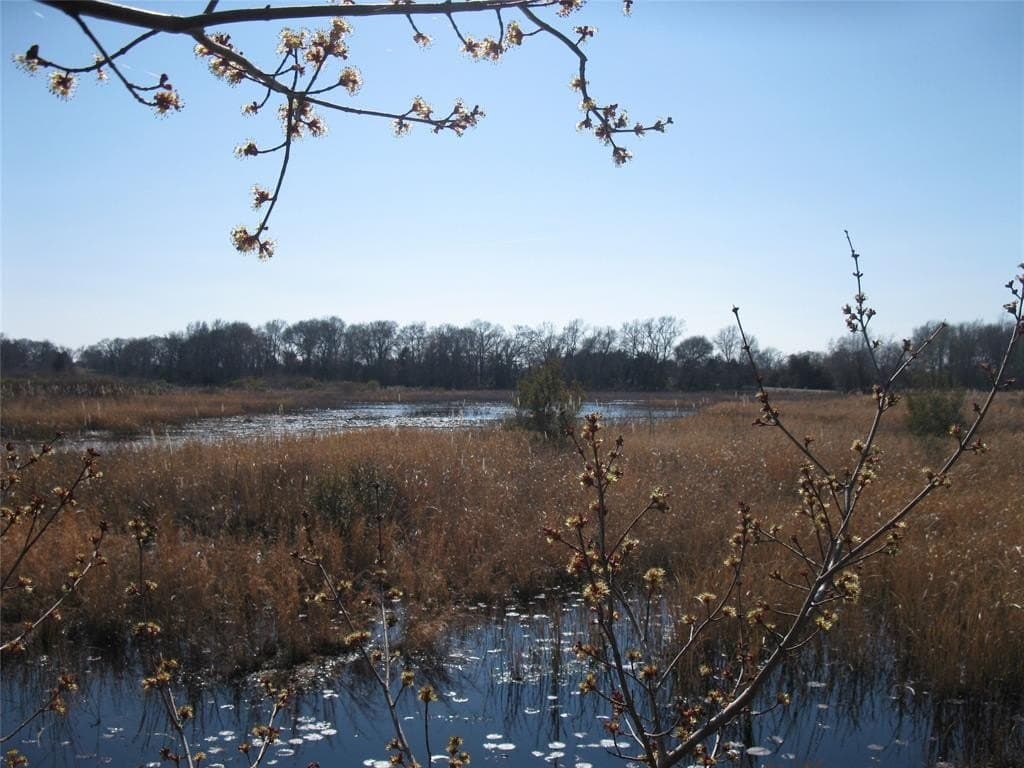 133.21 acres in Van Zandt County - photo 7