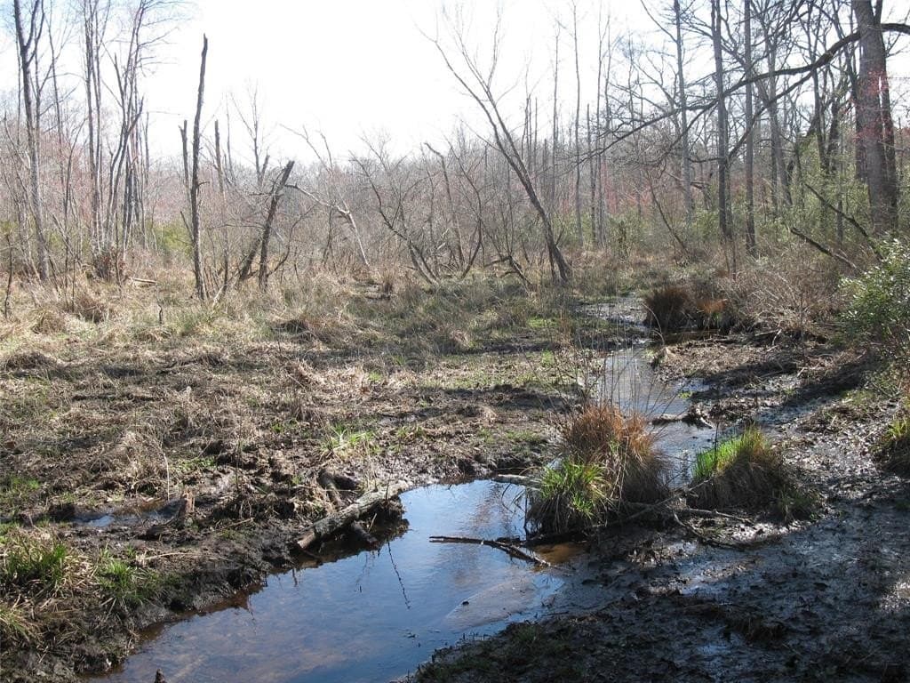 133.21 acres in Van Zandt County - photo 15