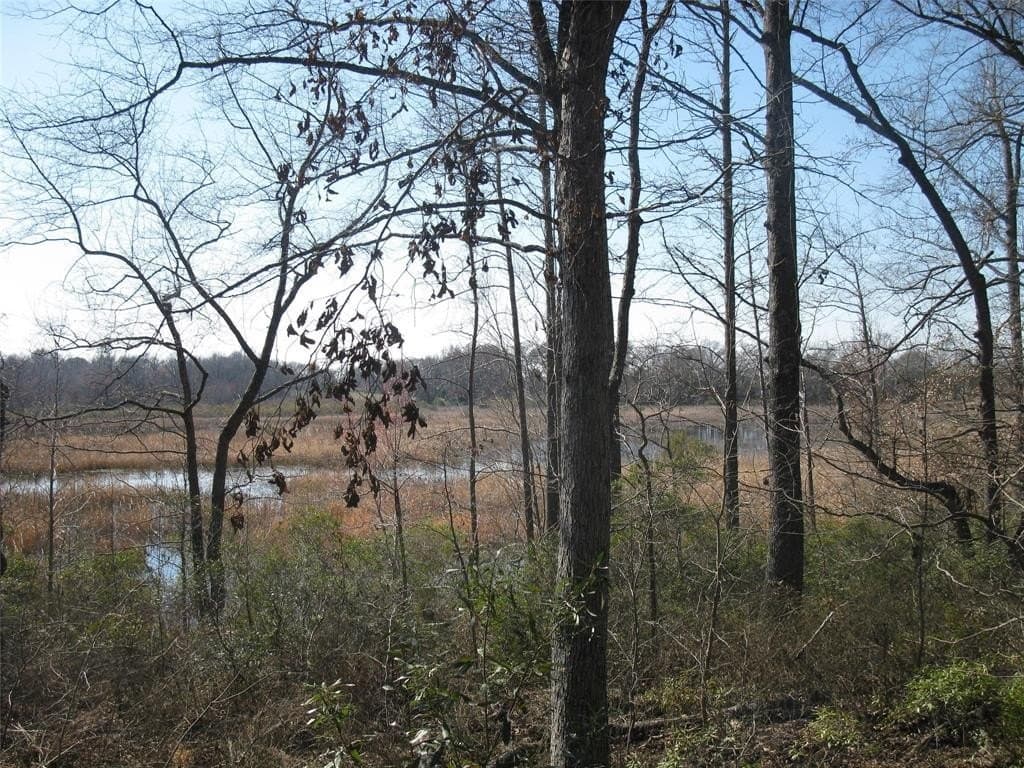 133.21 acres in Van Zandt County - photo 2
