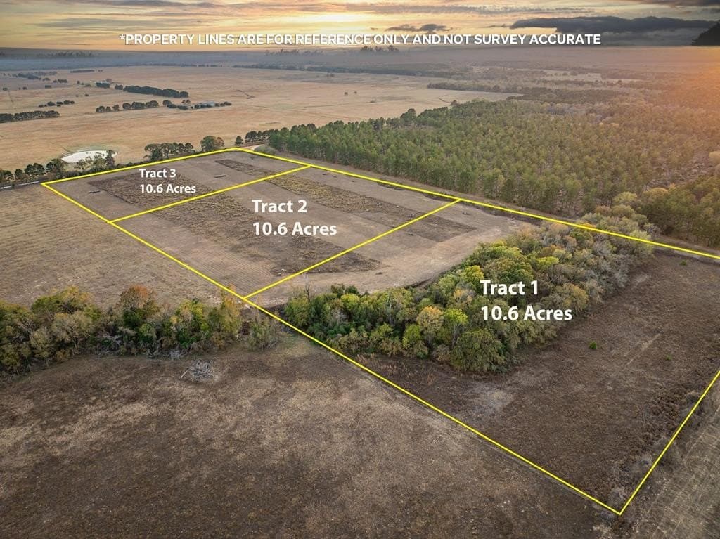 10.6 acres in ANDERSON County - photo 9