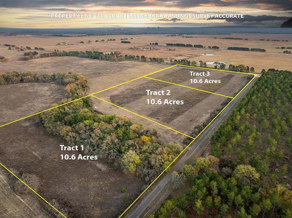 10.6 acres in ANDERSON County - photo 8