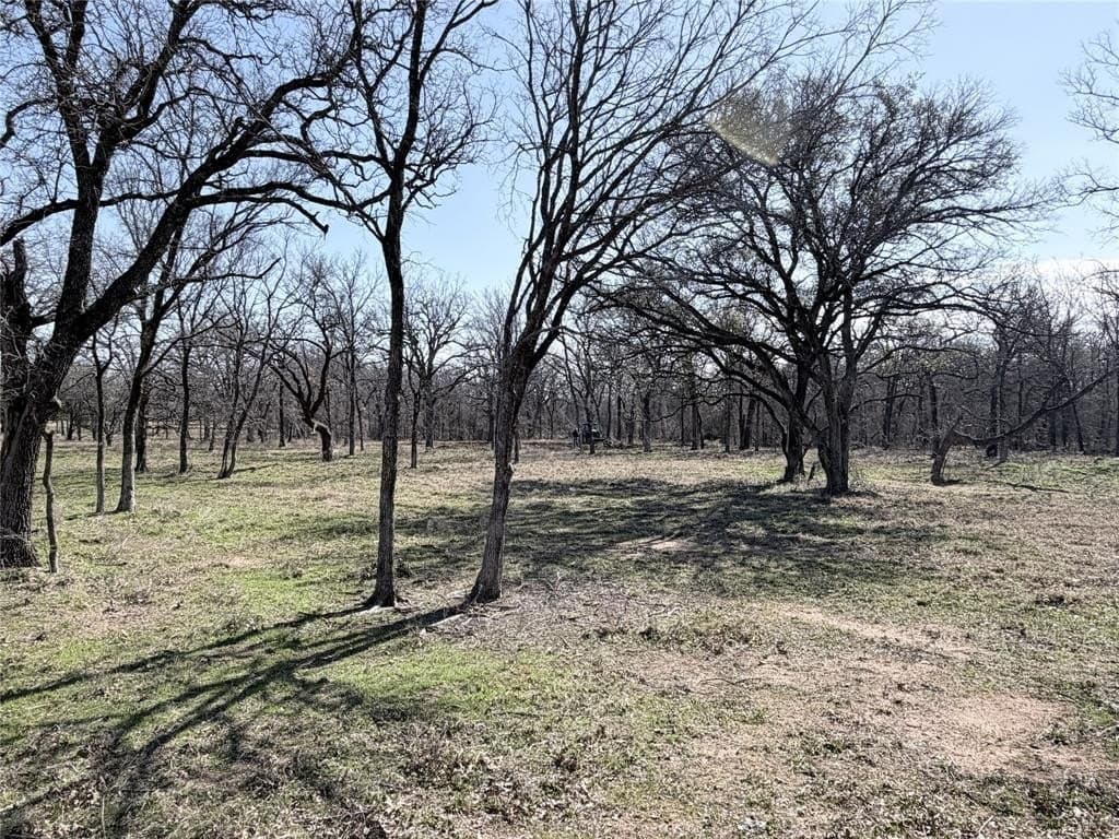 3.31 acres in Hill County - photo 3