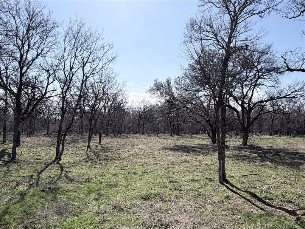 3.31 acres in Hill County - photo 4