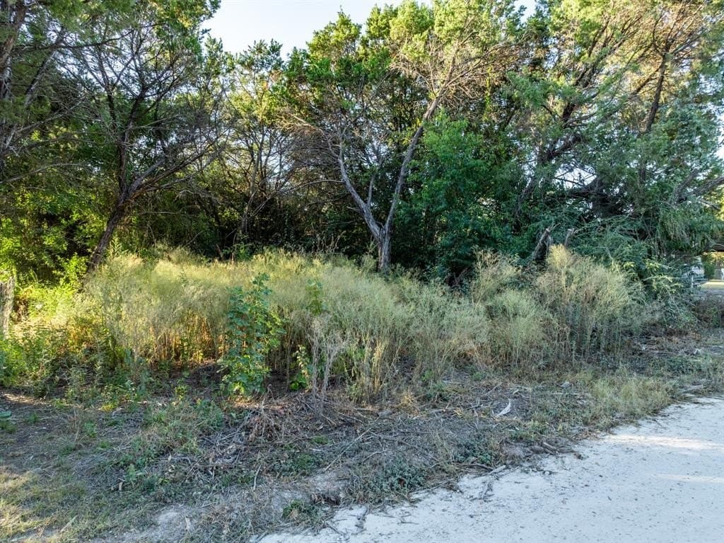 0.12 acres in Hill County - photo 7