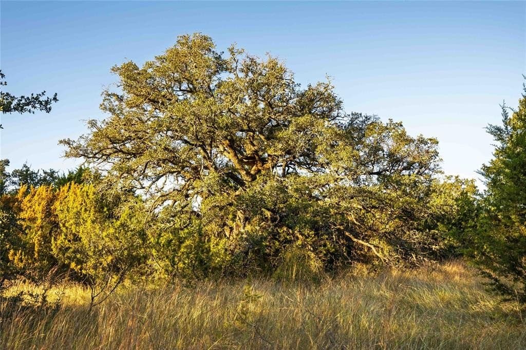 257 acres in Comanche County - photo 30