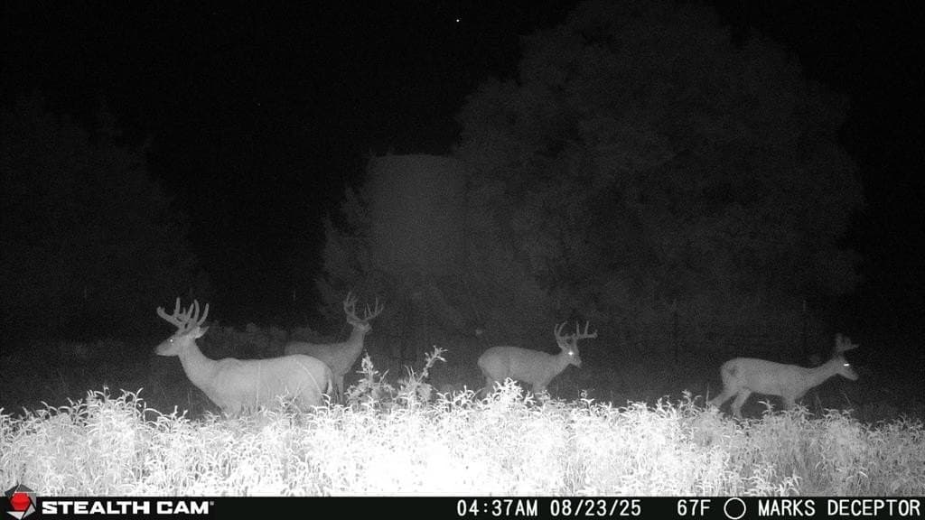 257 acres in Comanche County - photo 40