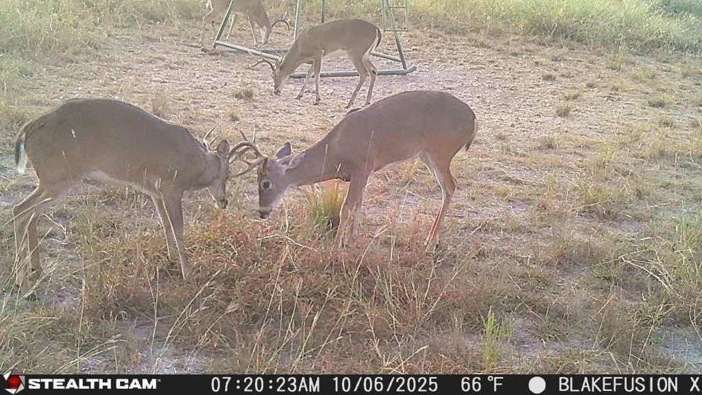 257 acres in Comanche County - photo 39