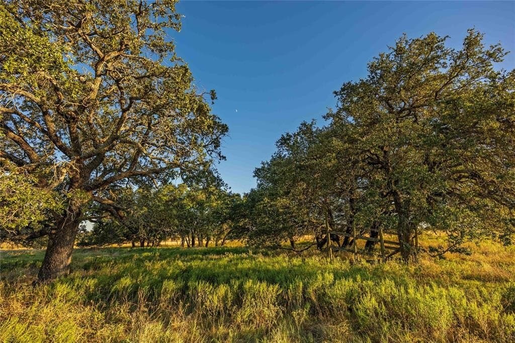 257 acres in Comanche County - photo 5