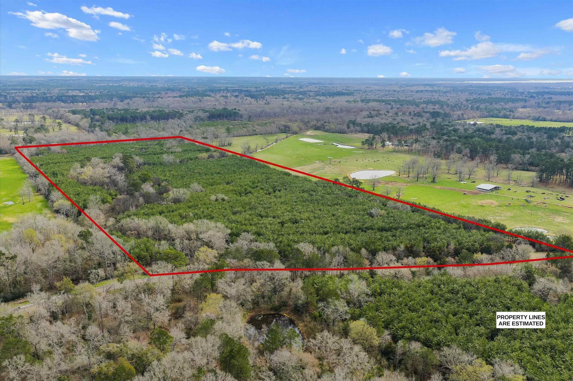 60 acres in Shelby County - photo 4