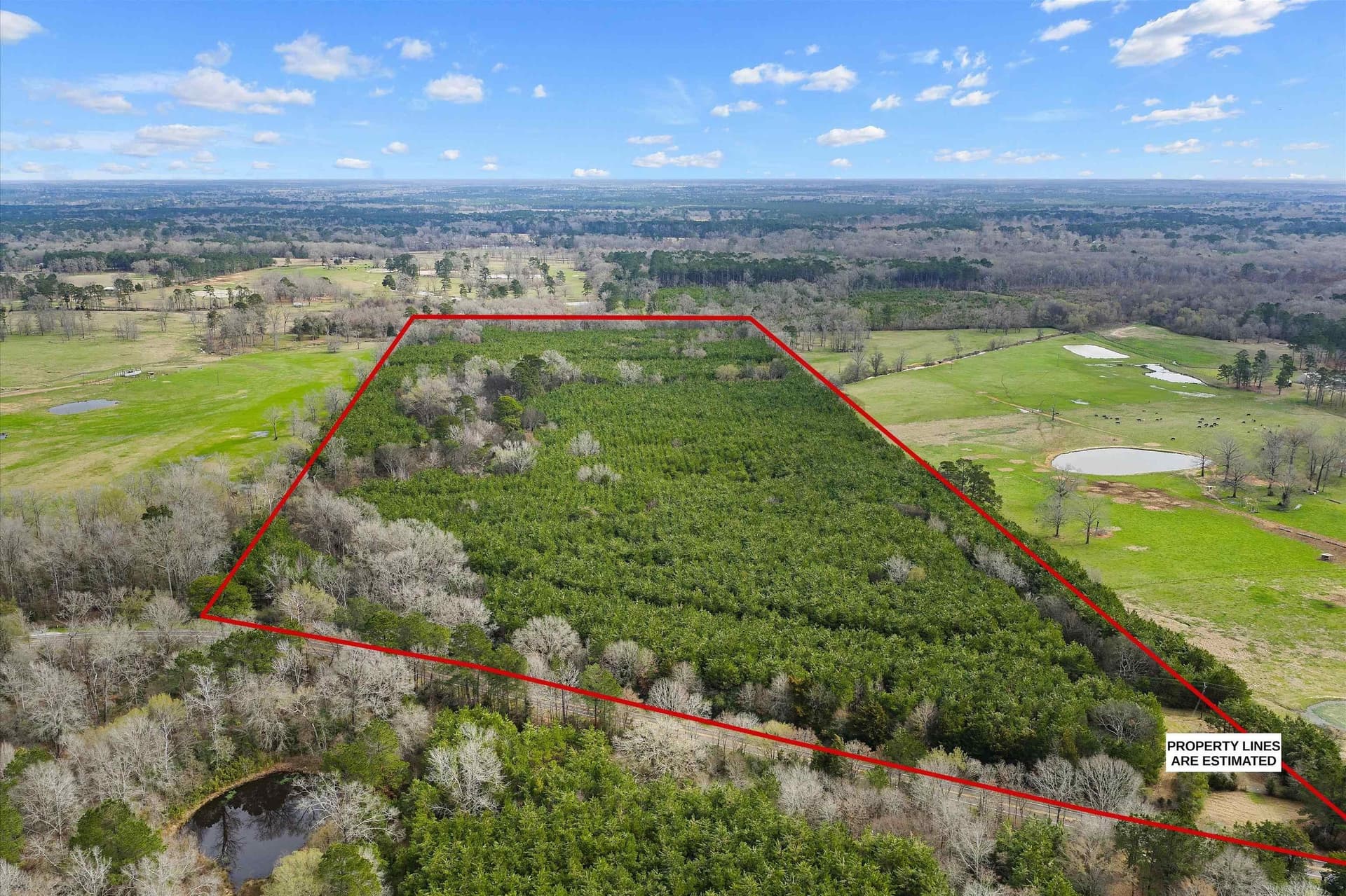 60 acres in Shelby County - photo 3