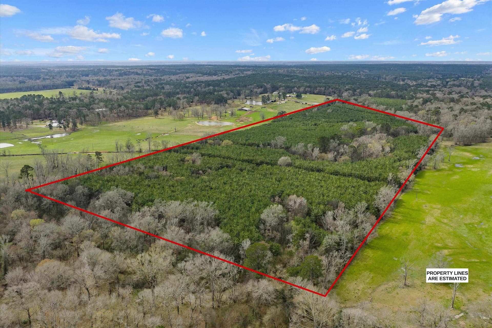 60 acres in Shelby County - photo 8