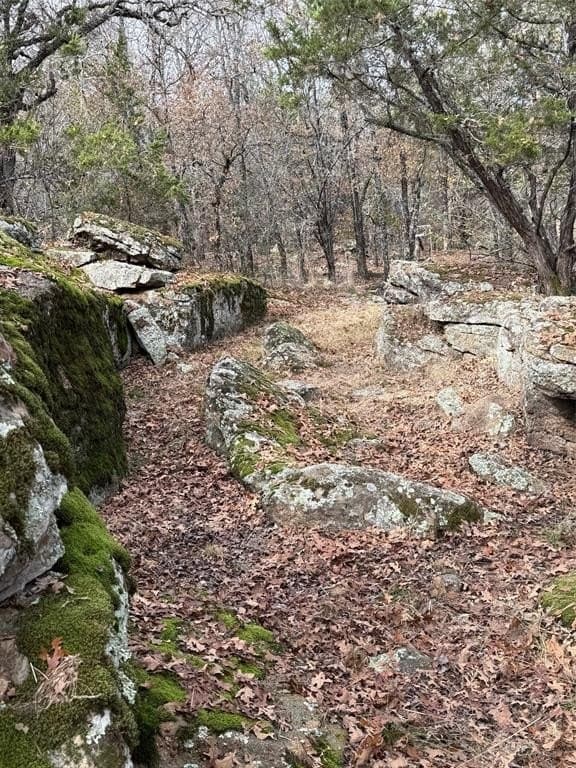 66.17 acres in Palo Pinto County - photo 21