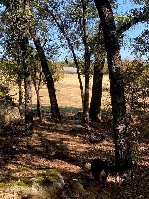 66.17 acres in Palo Pinto County - photo 23