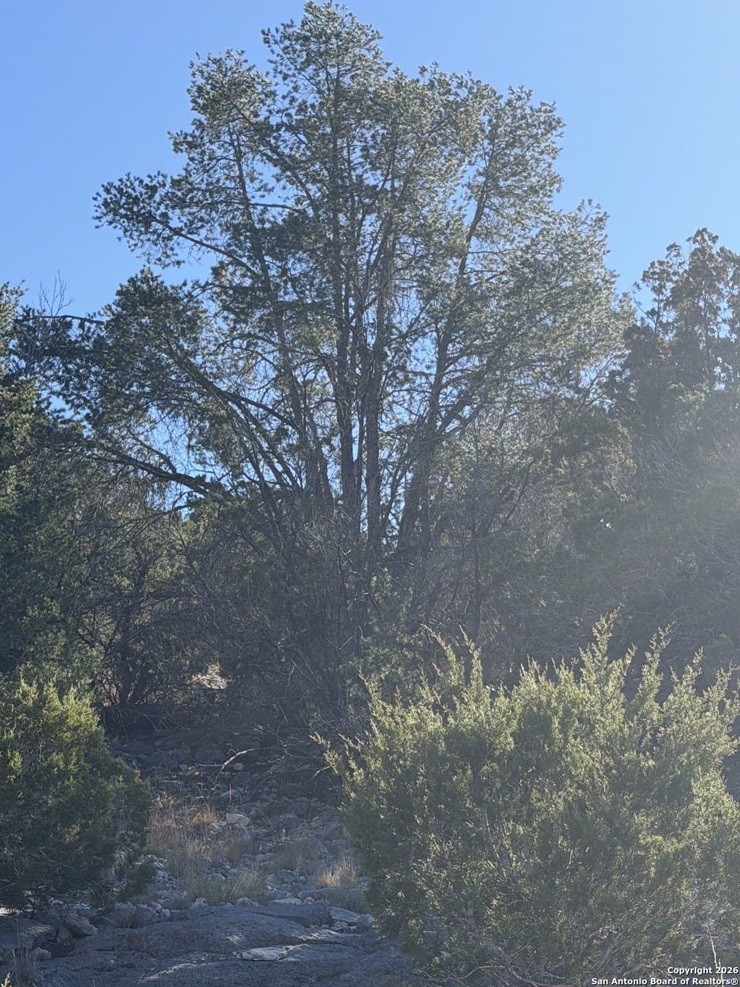 39 acres in Edwards County - photo 11