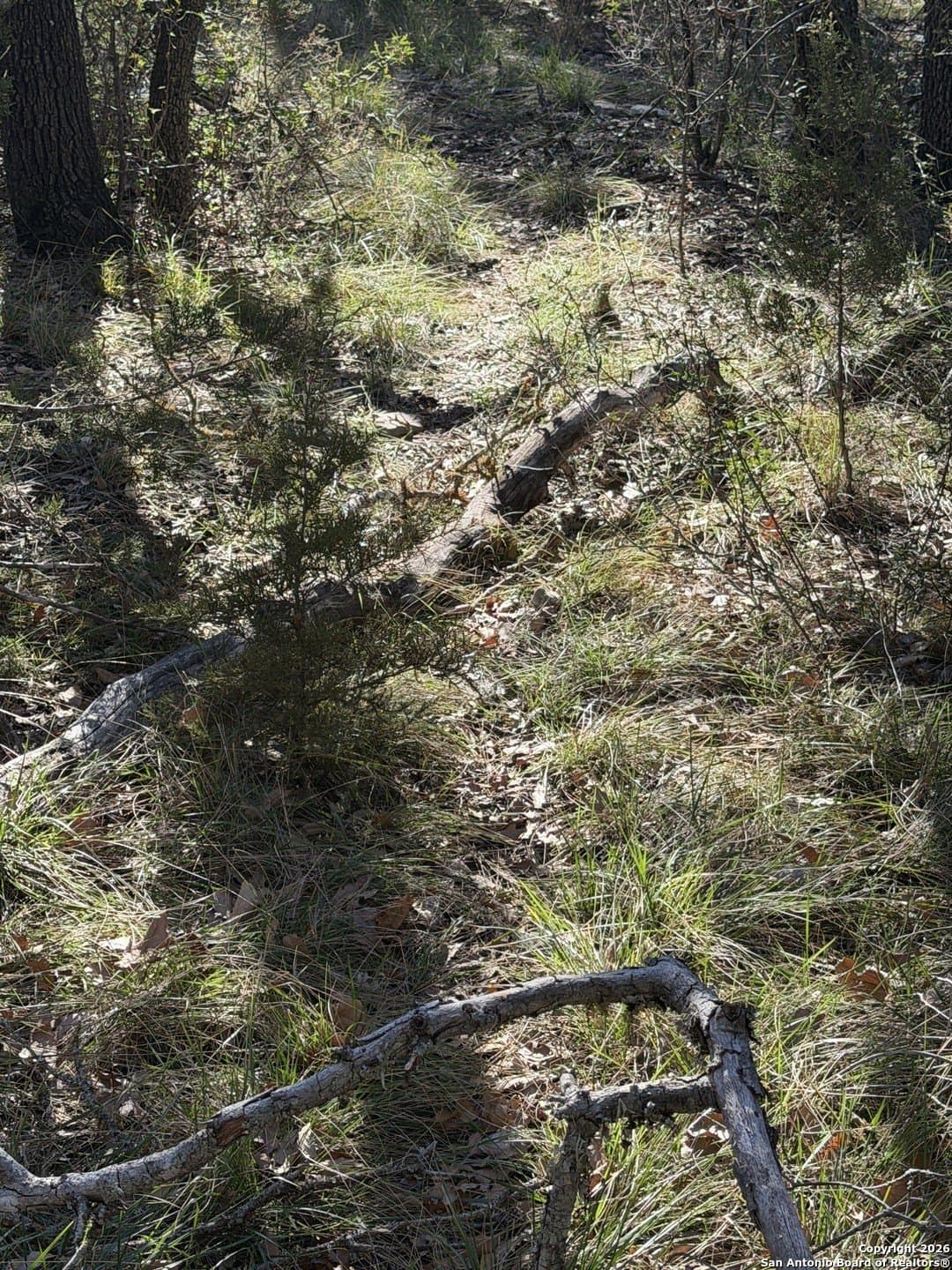 39 acres in Edwards County - photo 27