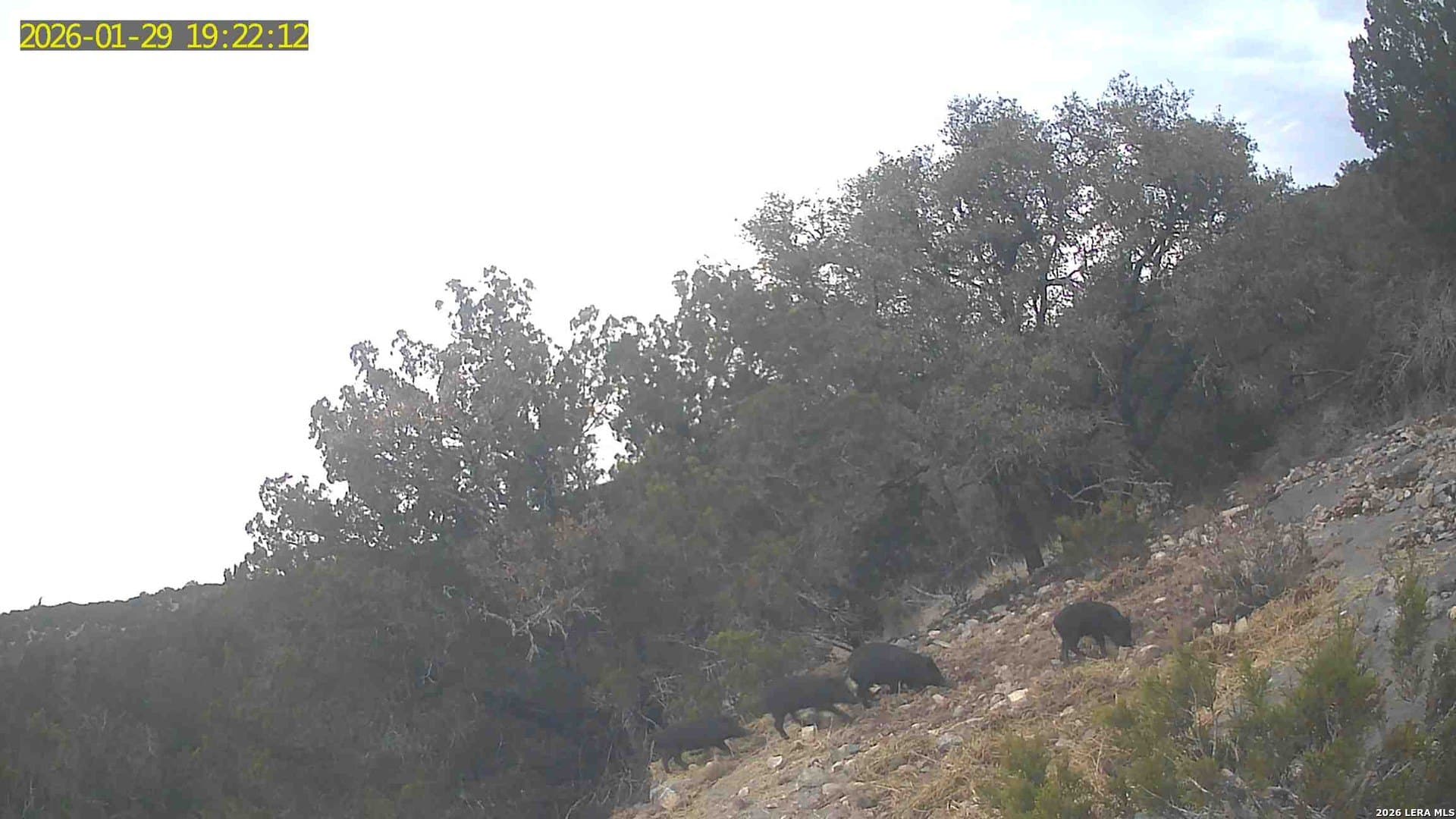 39 acres in Edwards County - photo 43