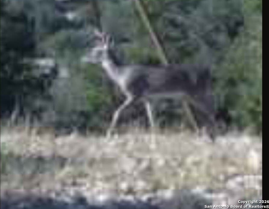39 acres in Edwards County - photo 6