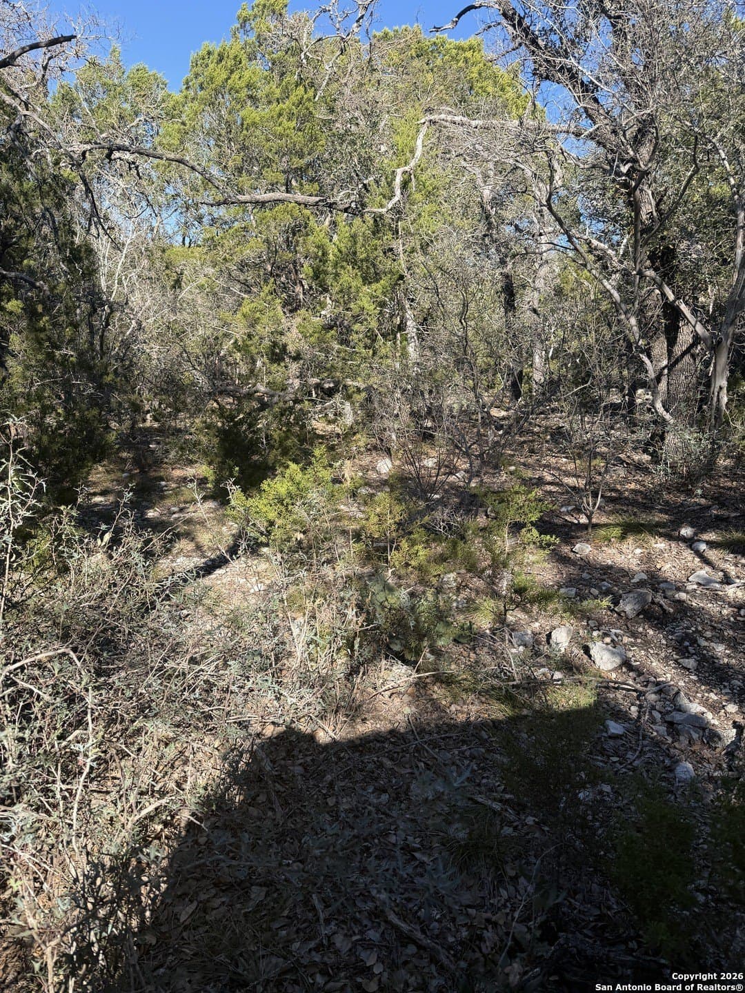 39 acres in Edwards County - photo 24