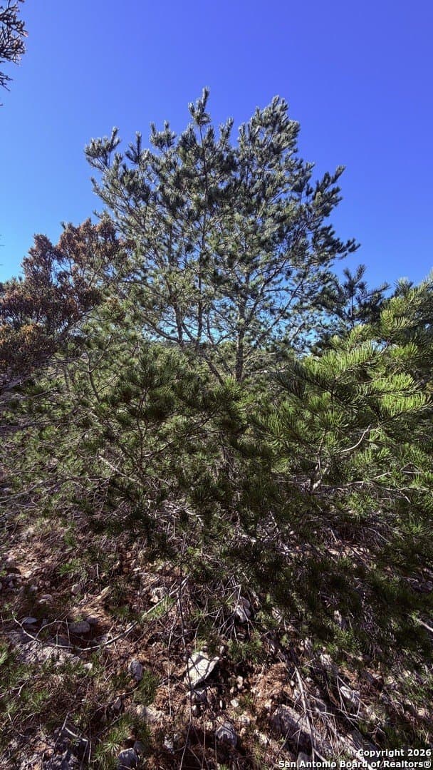 39 acres in Edwards County - photo 17