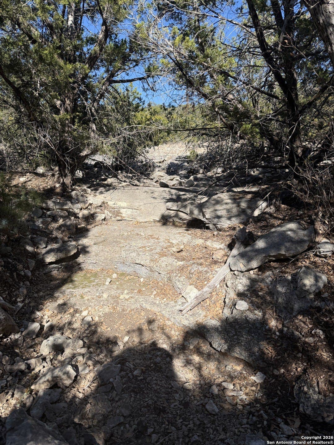 39 acres in Edwards County - photo 8