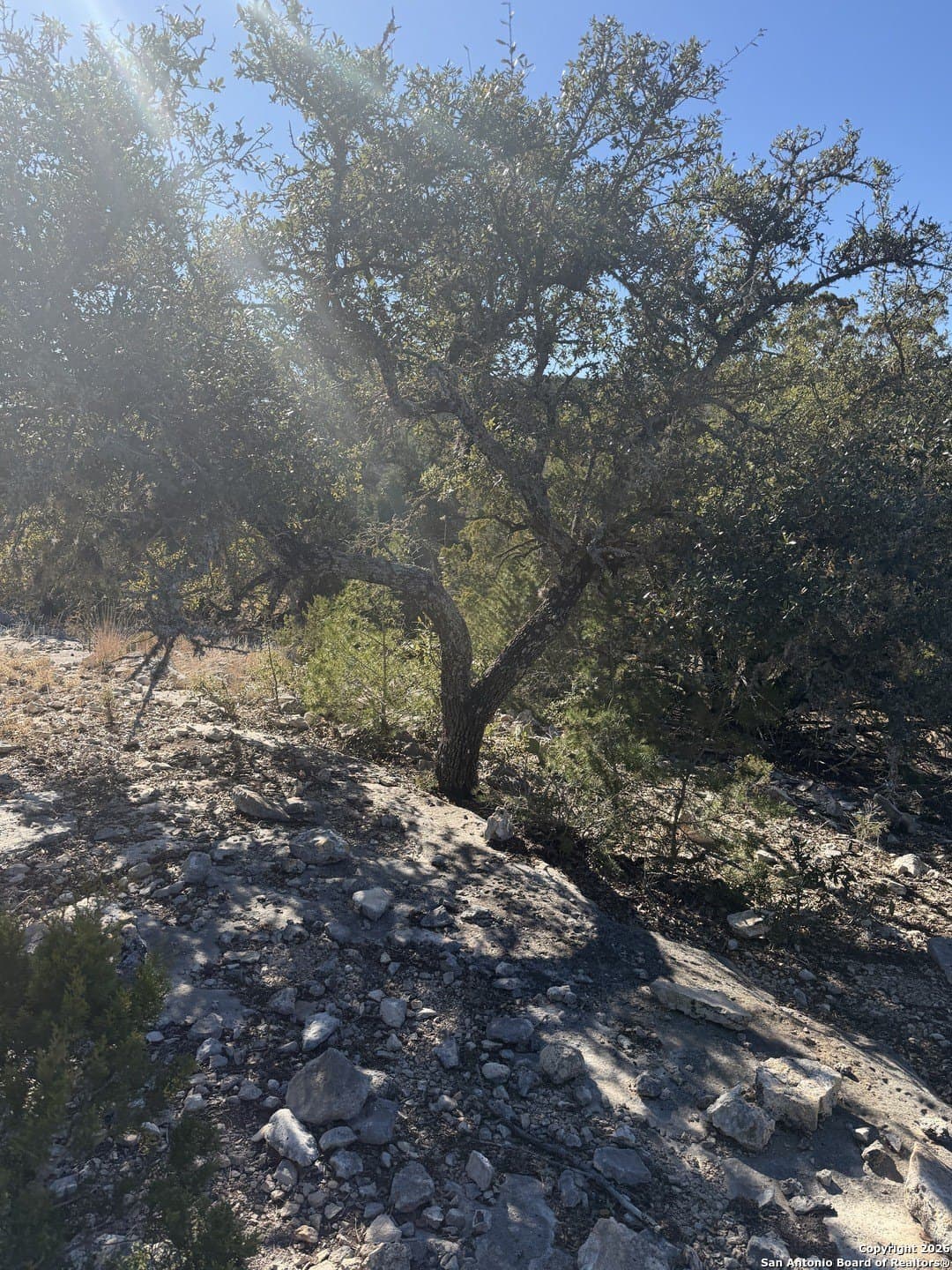 39 acres in Edwards County - photo 20
