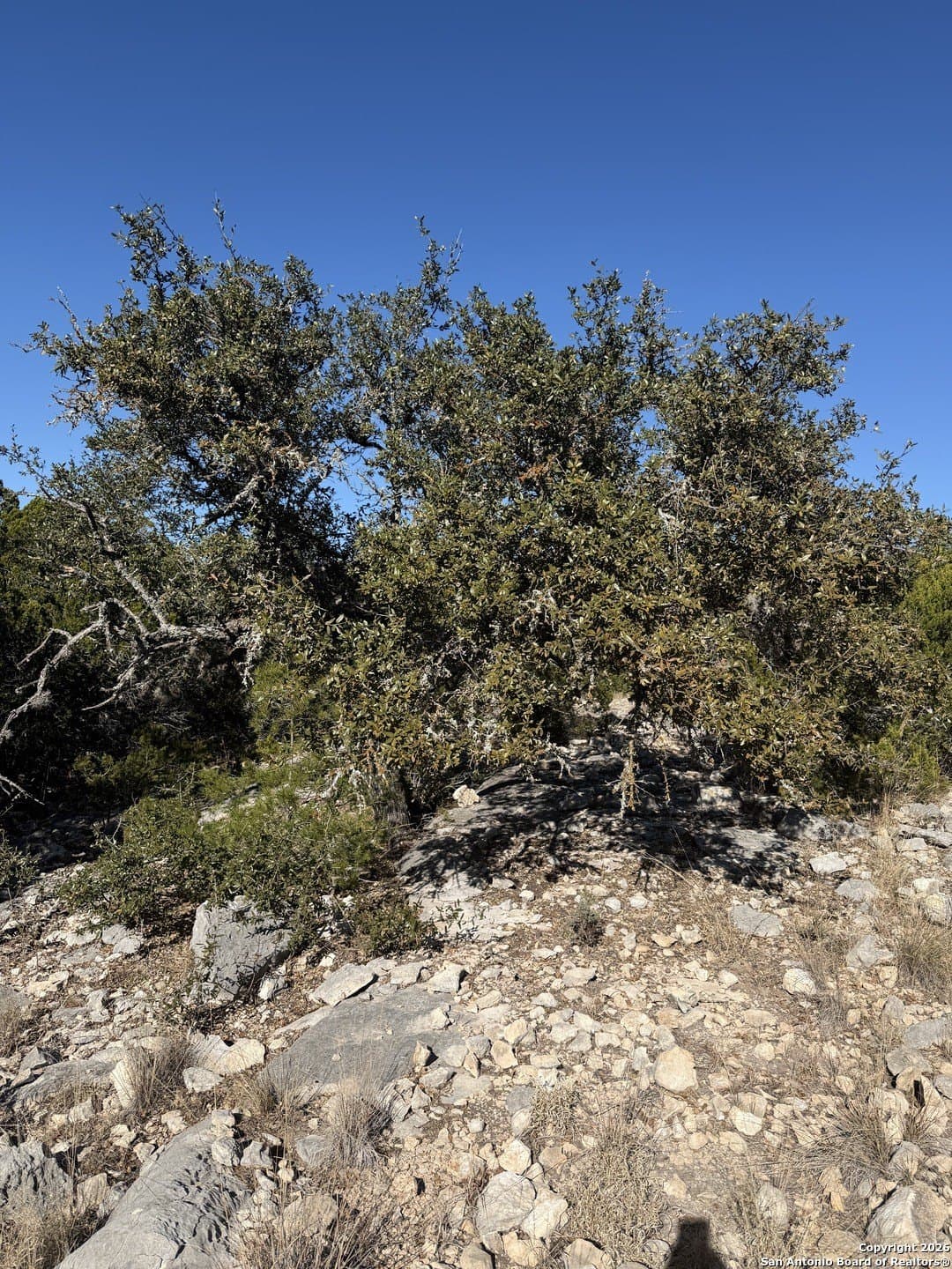 39 acres in Edwards County - photo 21