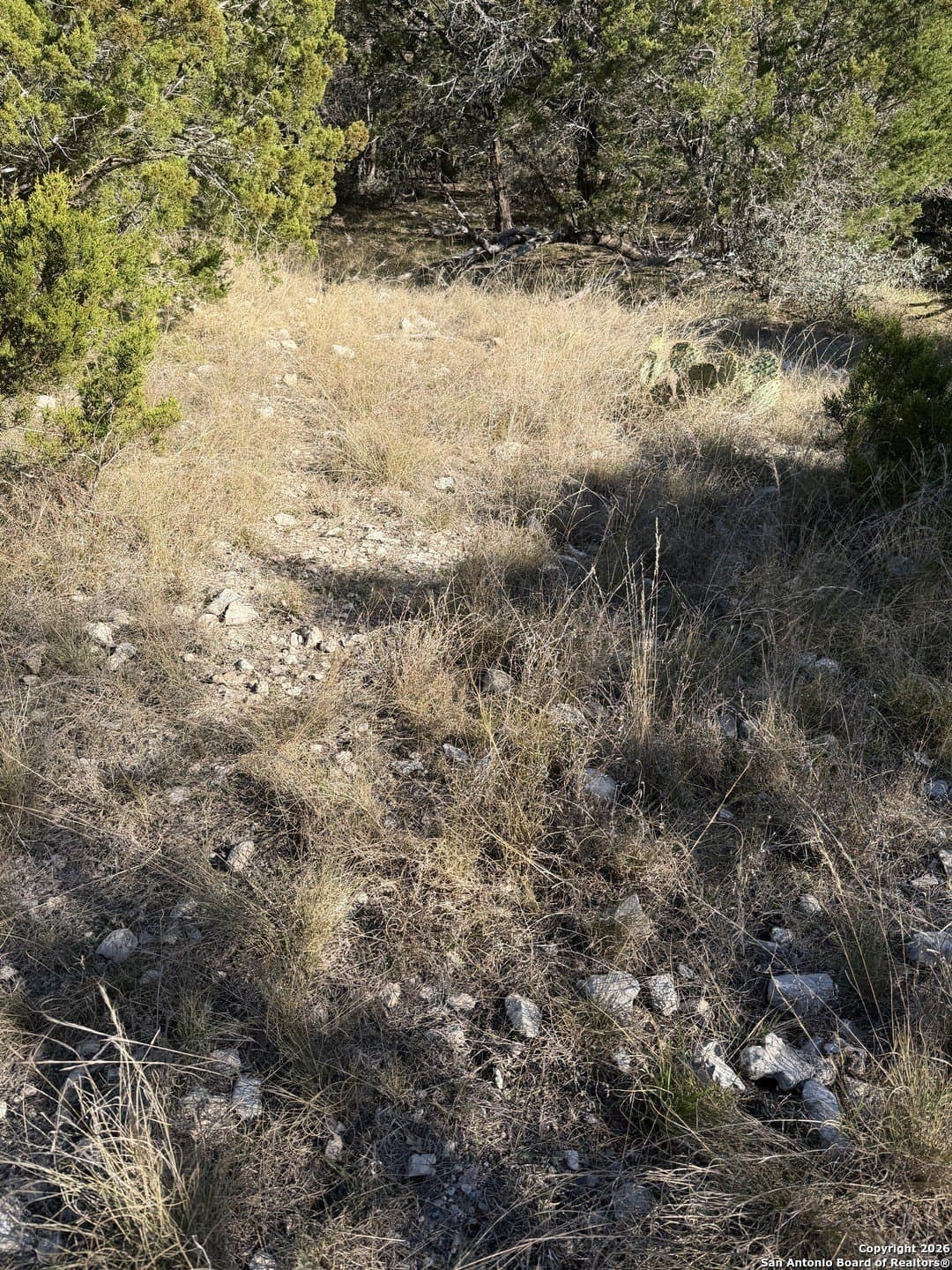 39 acres in Edwards County - photo 29