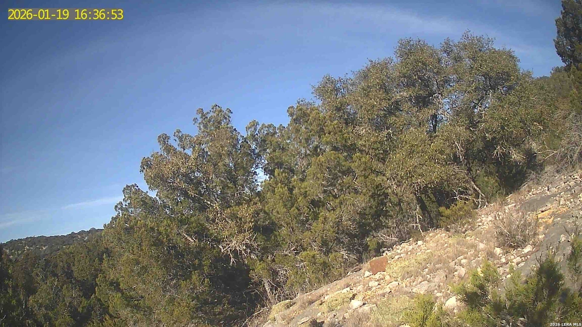 39 acres in Edwards County - photo 36