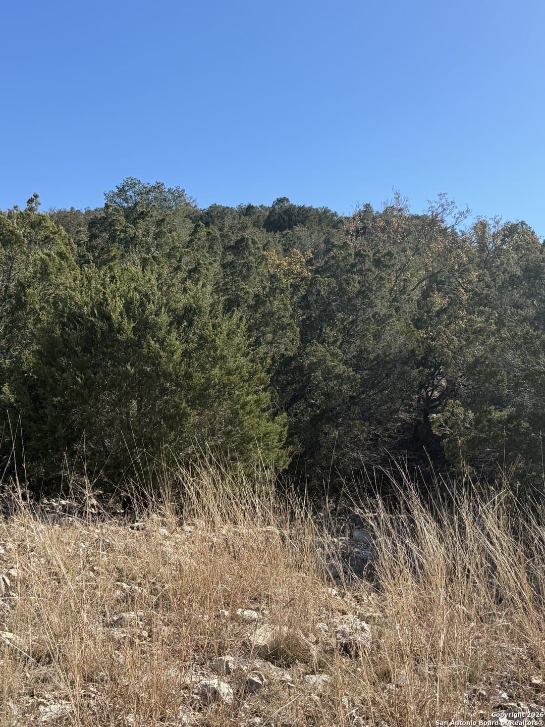 39 acres in Edwards County - photo 9