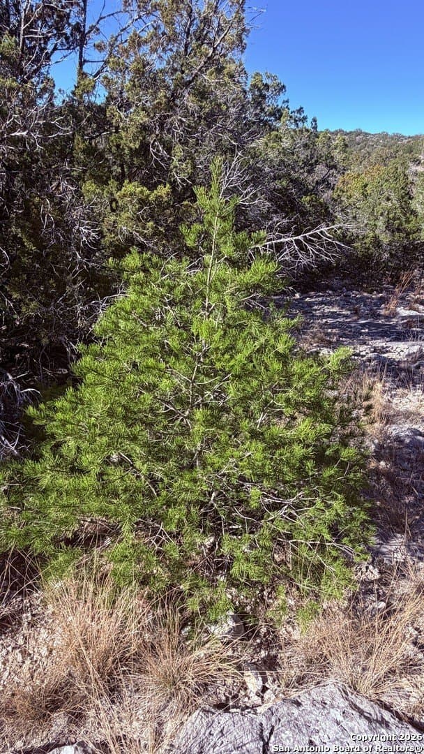 39 acres in Edwards County - photo 16