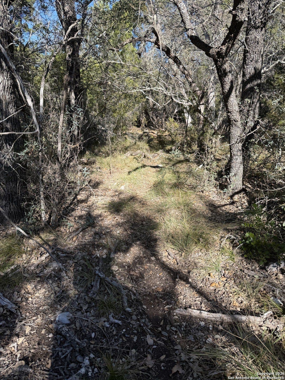 39 acres in Edwards County - photo 26