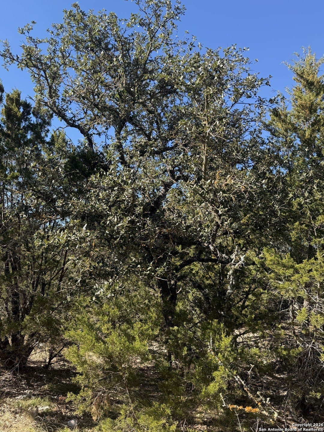 39 acres in Edwards County - photo 28