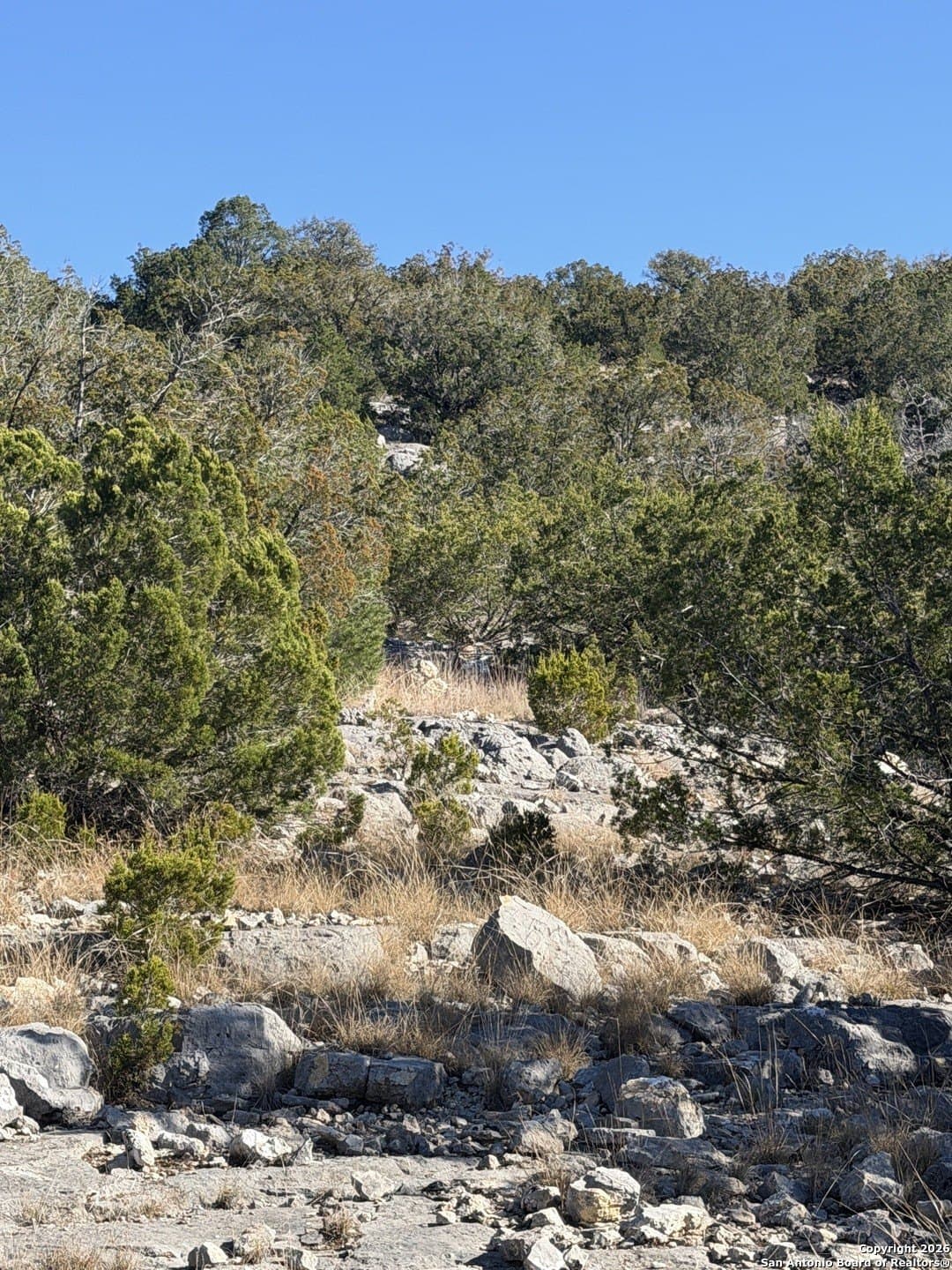 39 acres in Edwards County - photo 22